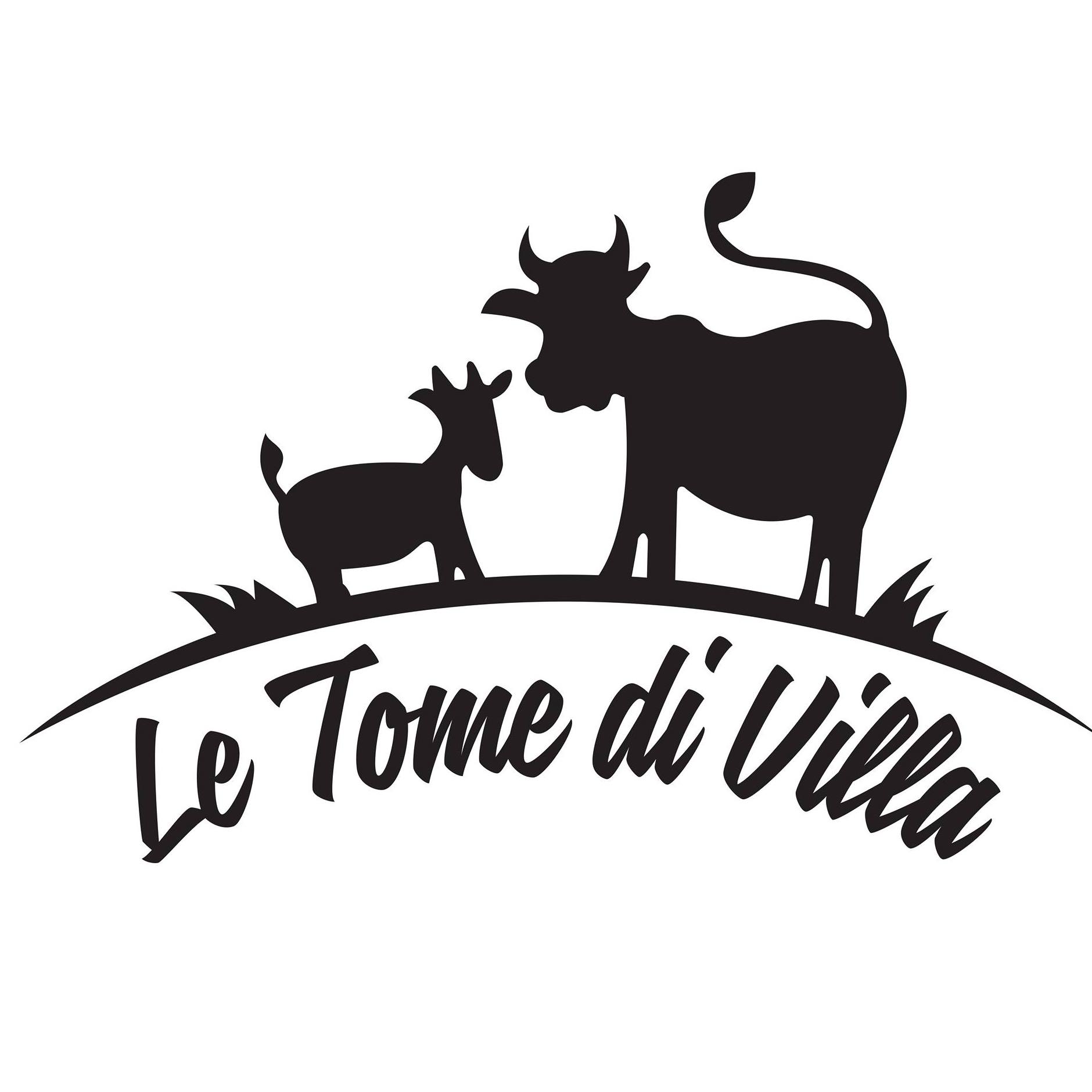 Logo produttore Le Tome di Villa