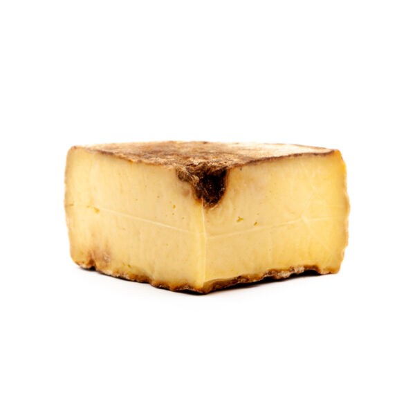 Aged alpine cheese "Toma Bianco" from Piedmont